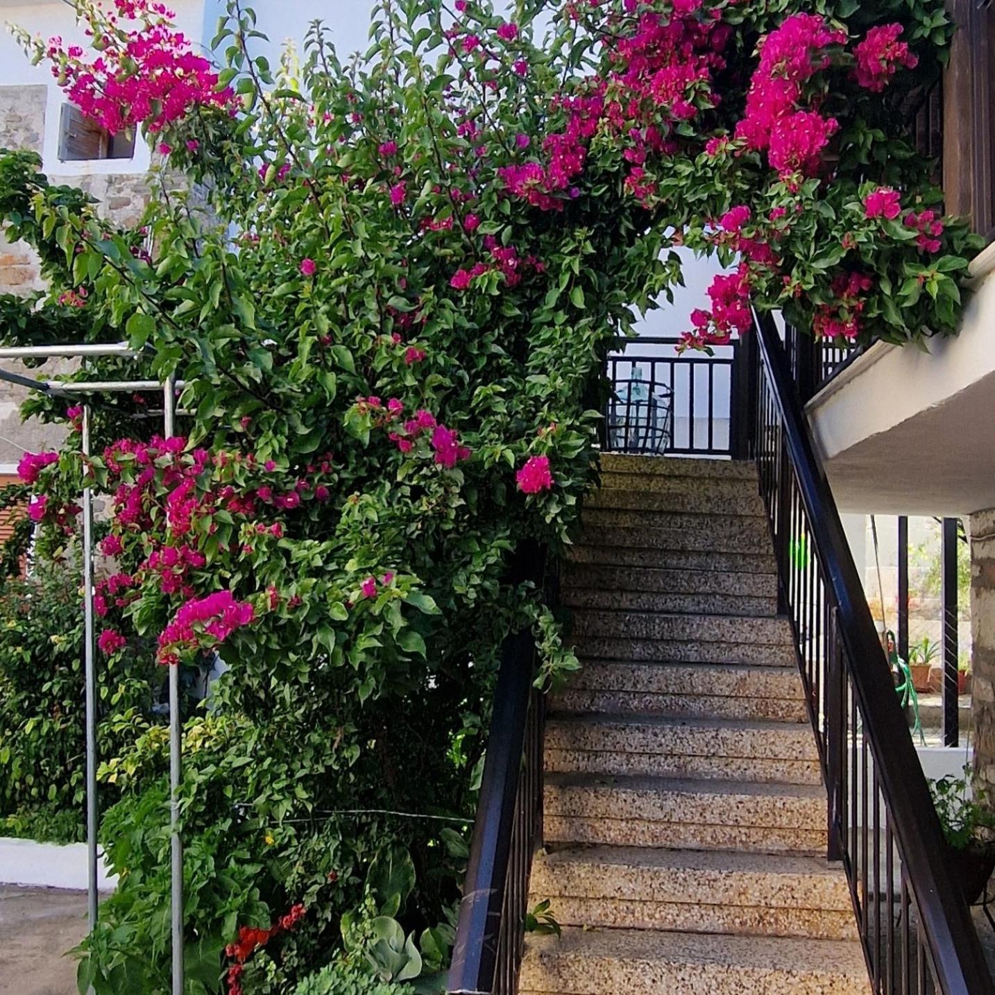 Ferienwohnung Nikolaos House Agios Nikolaos  Exterior foto